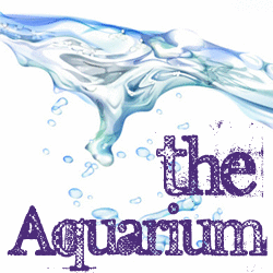  The Aquarium 