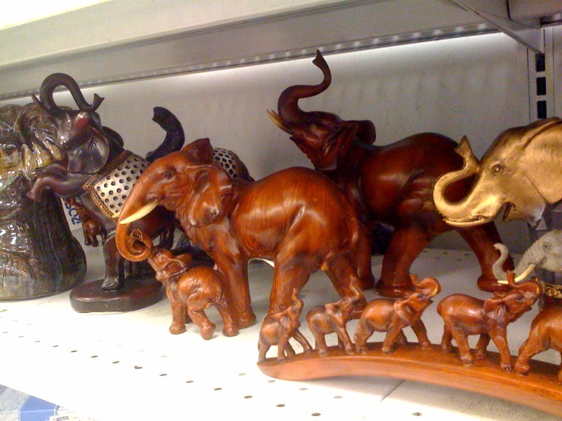 elephant4
