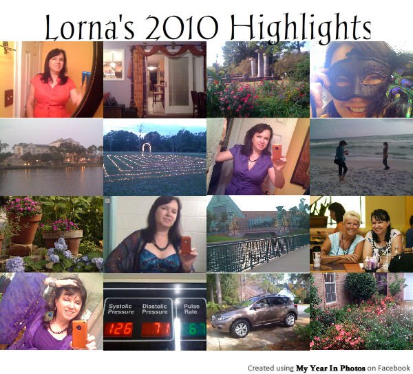 Taking Stock of 2010, Personally and in Photos