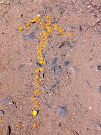 Lessons from the Camino de Santiago: You Find What You Focus On…Good or Bad