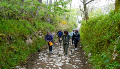Cool hike Straight uphill