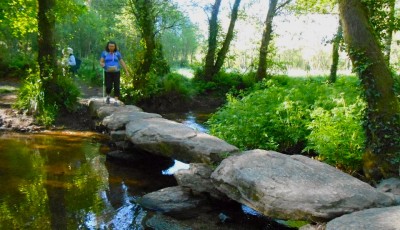crossing stream Crossing Stream