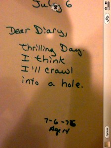Bully Diary 3