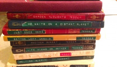 Teenage Diaries