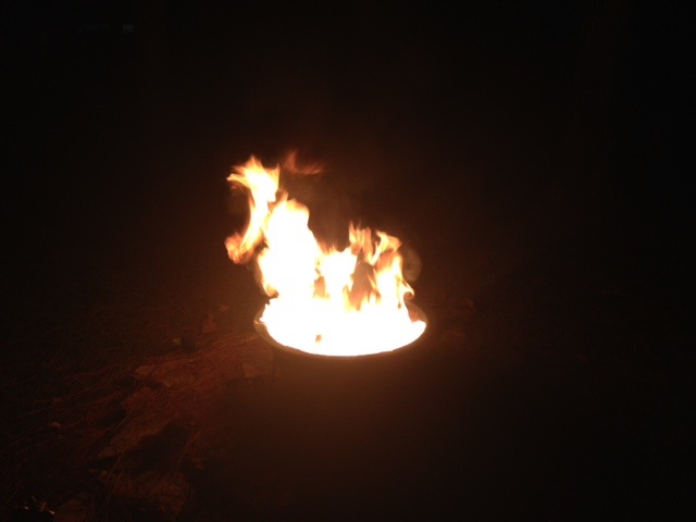Image 48