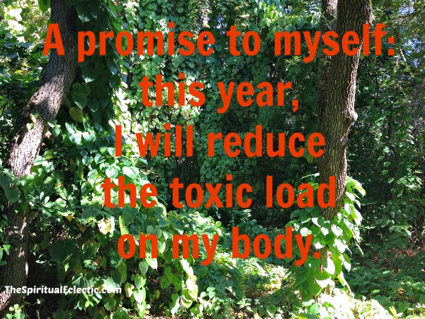 Reducing your Toxic Load – Weekly Tips for Better Health