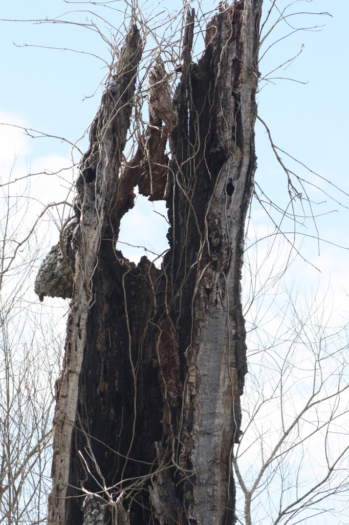 Still standing
