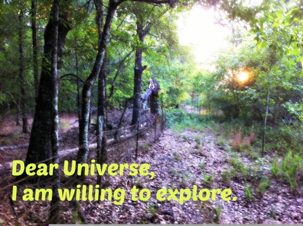 Setting Intentions