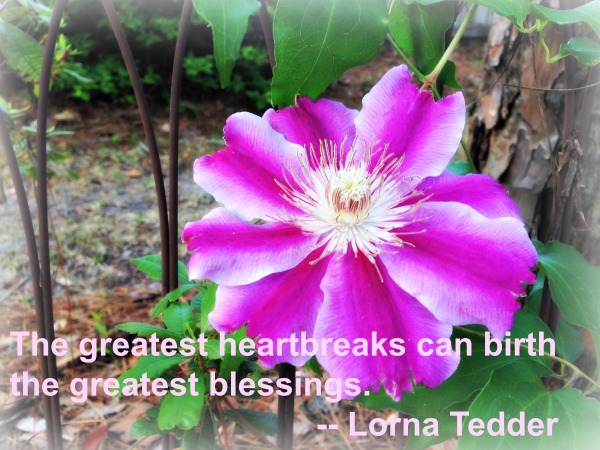 Blessings that Broke My Heart