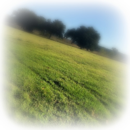 Meditation Breakthrough on the “Shadow Farm”
