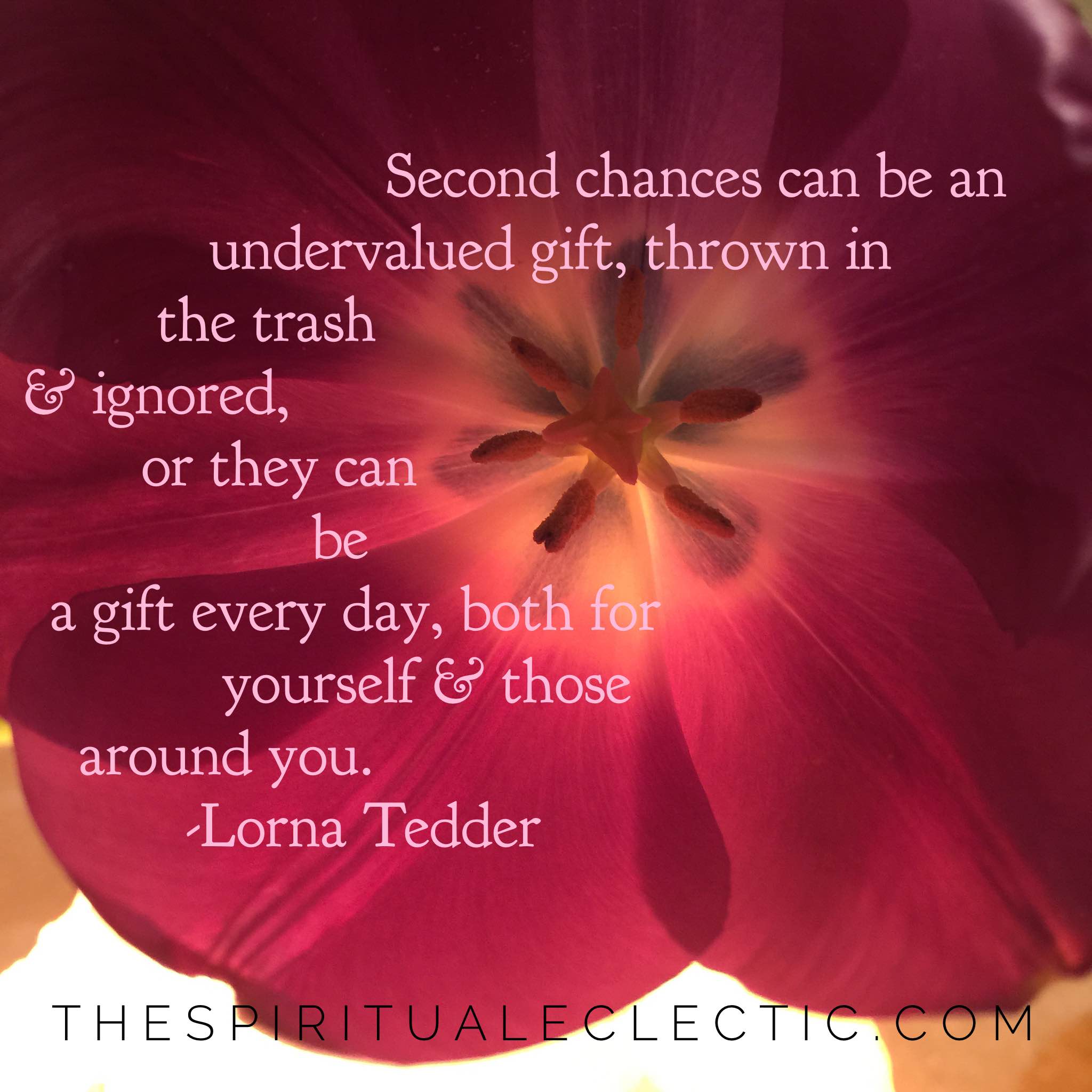 What Would You Do with a Second Chance?