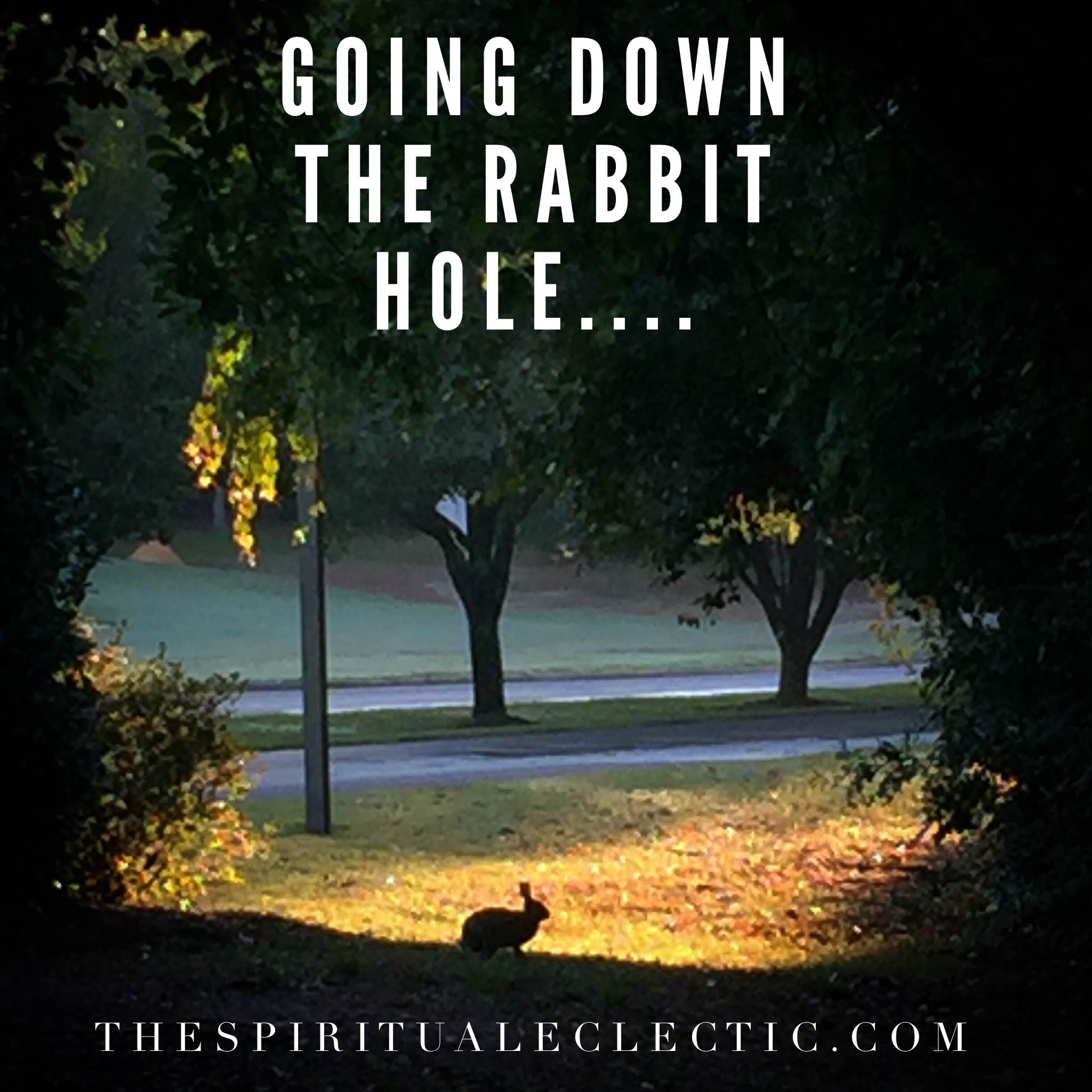 Meditation: Fox Hole vs Rabbit Hole