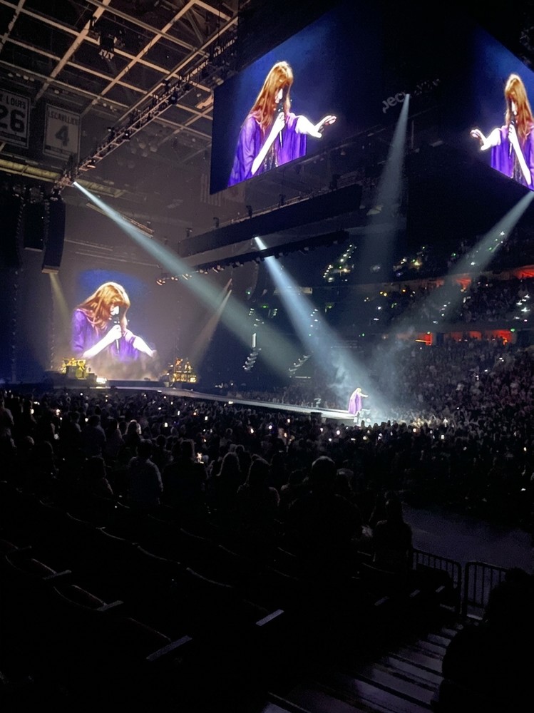 Concertgoers singing every word along with Florence Welch